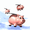 $1B reward for flying pigs